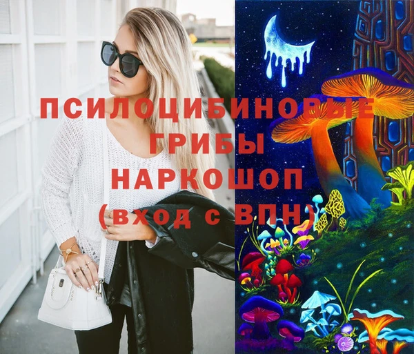 твердый Пересвет