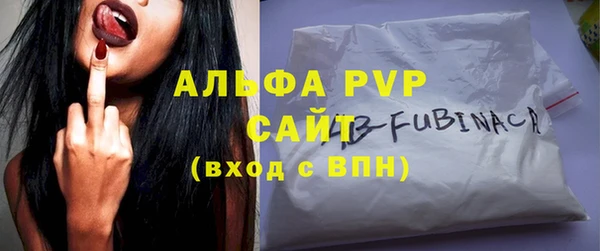 твердый Пересвет