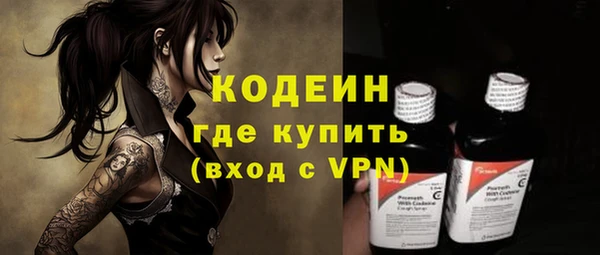 твердый Пересвет