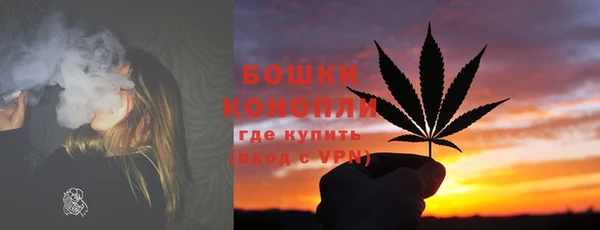 дмт Билибино