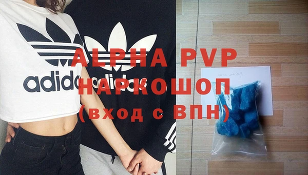 спиды Бикин