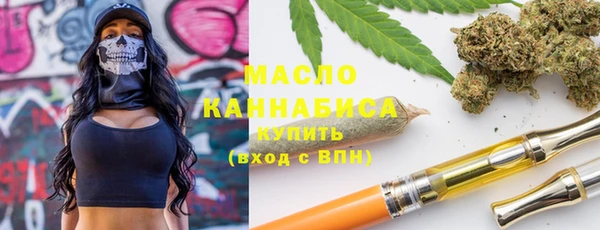 твердый Пересвет