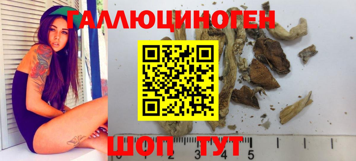 Галлюциногенные грибы Psilocybe Ялта