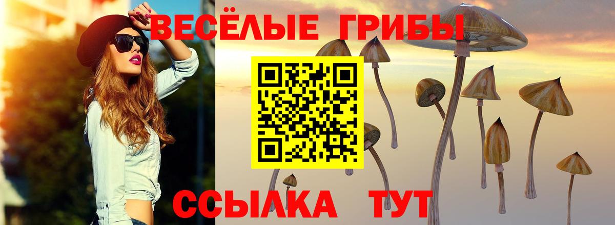 Ялта  Галлюциногенные грибы Cubensis  Вход с VPN 